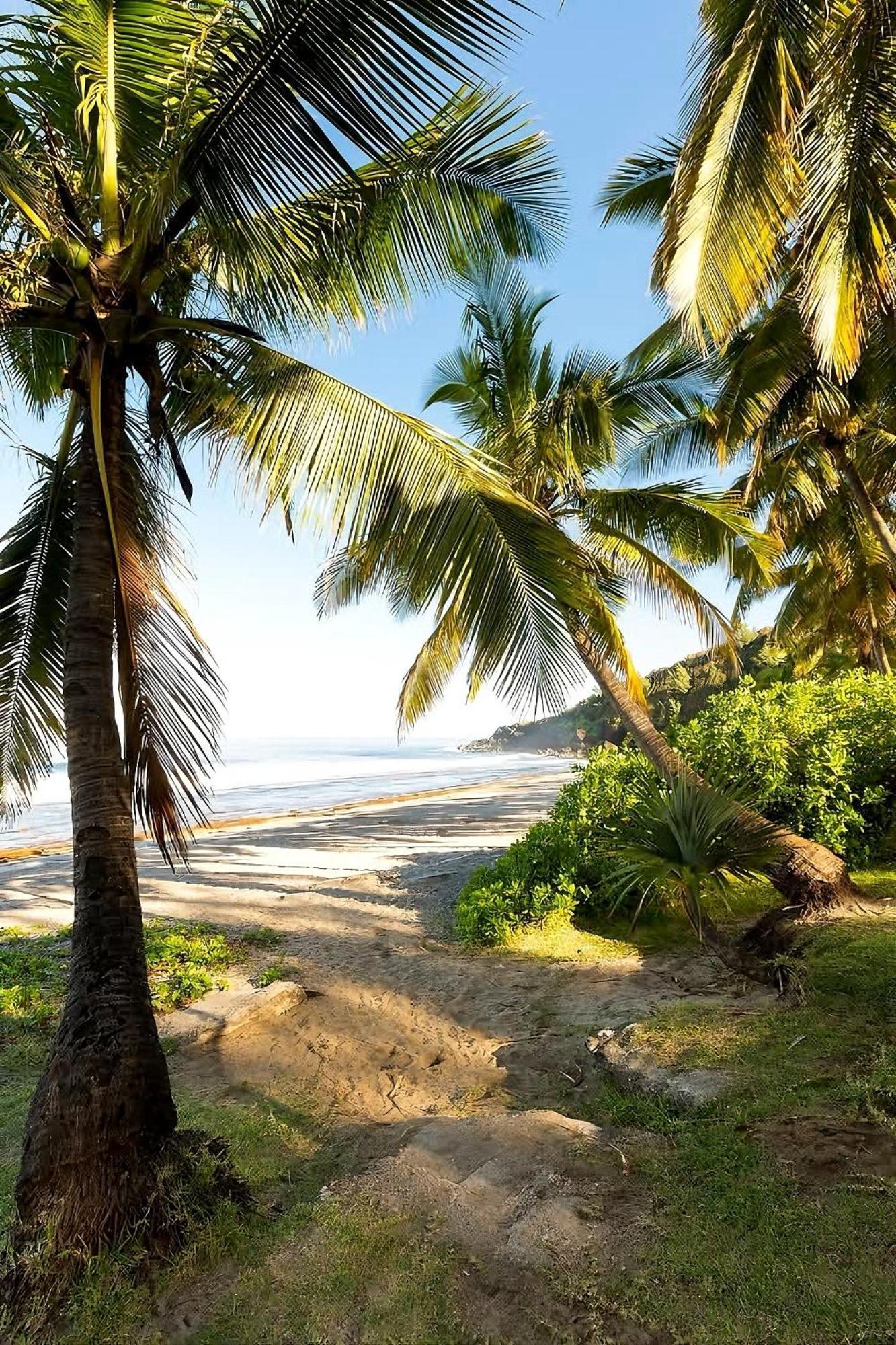 Villa Avec Piscine Vue Mer Et Montagne, En Pleine Nature サン・ジョゼフ エクステリア 写真
